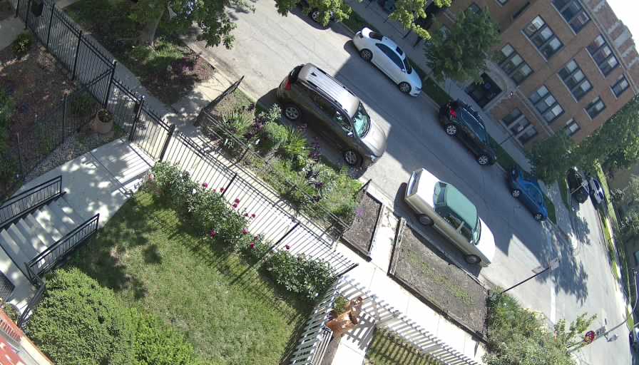 Reolink Camera Two_01_Reolink Home Hub One_20260525094355.jpg